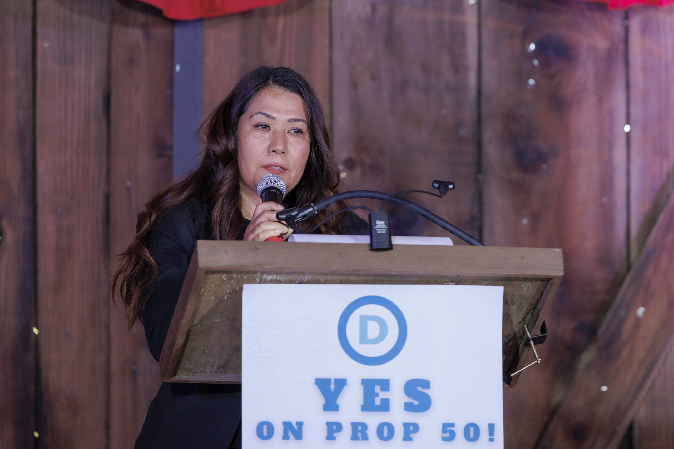 9-6-25 Democrats @work